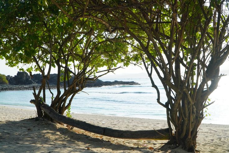 Liburan ke  Nusa Tenggara Barat? Ini 5 Destinasi WIsata dan Kebudayaan Khas yang Perlu Anda Coba