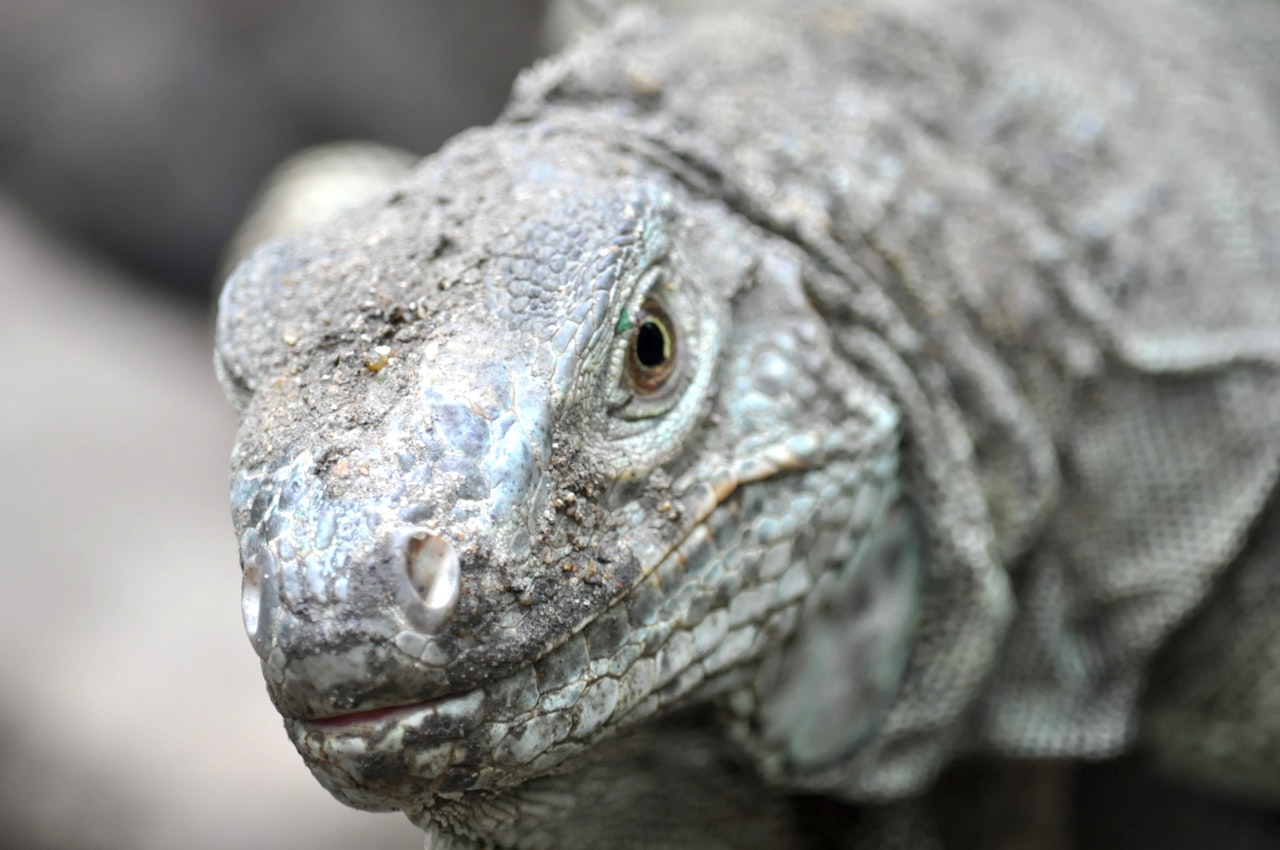 5  Destinasi Wisata Unggulan di Labuan Bajo