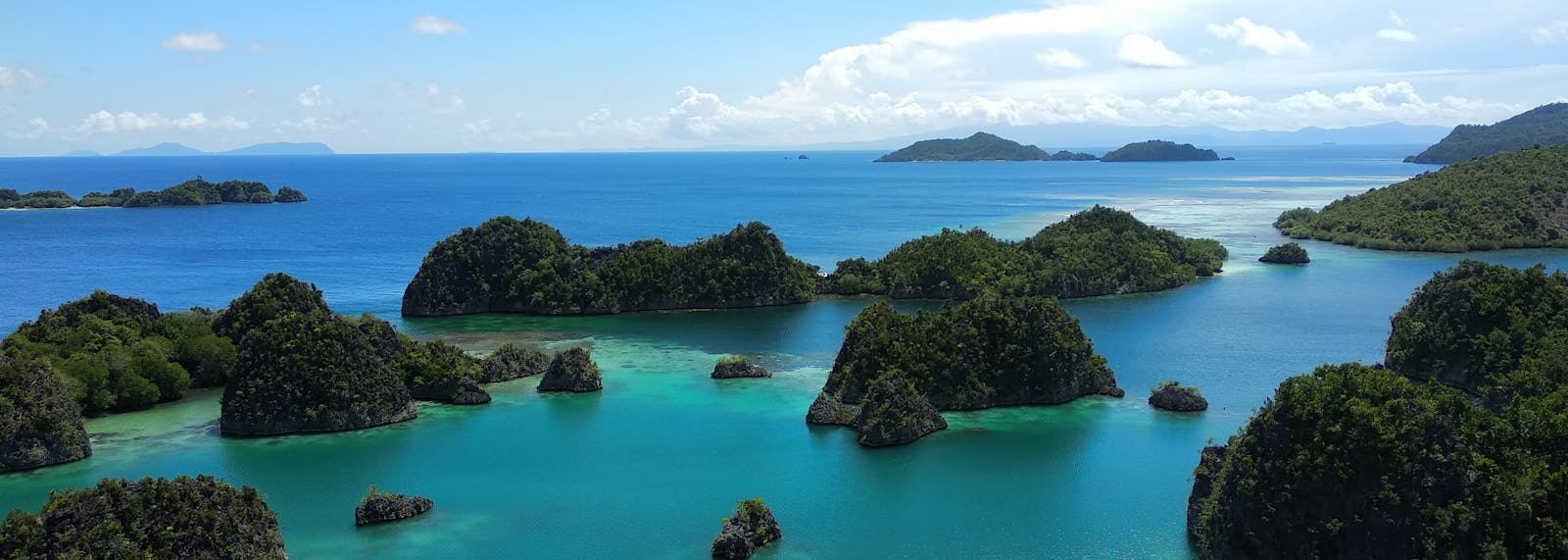 5 Daerah di Indonesia yang Mempunyai Terumbu Karang Terbaik di Dunia